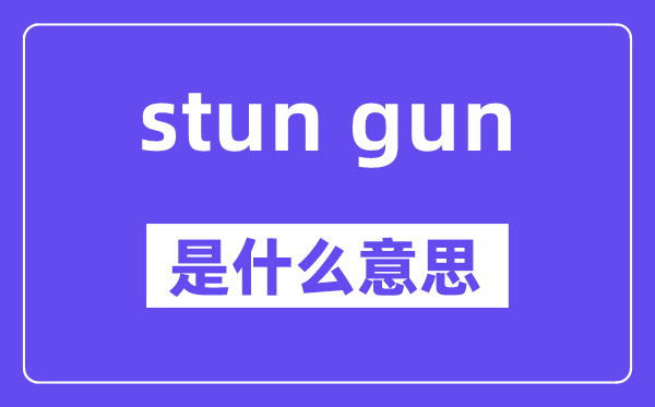 stun gun是甚么意义,中文翻译是甚么