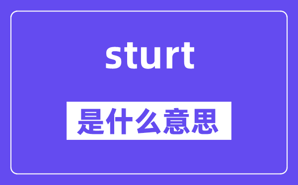 sturt是甚么意义,sturt怎样读,中文翻译是甚么