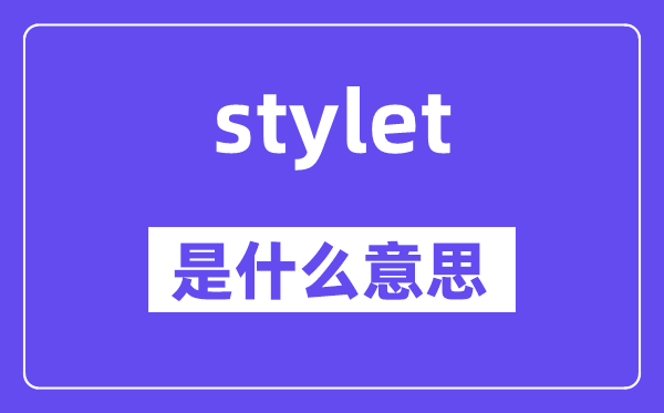 stylet是甚么意义,stylet怎样读,中文翻译是甚么