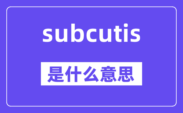 subcutis是甚么意义,subcutis怎样读,中文翻译是甚么
