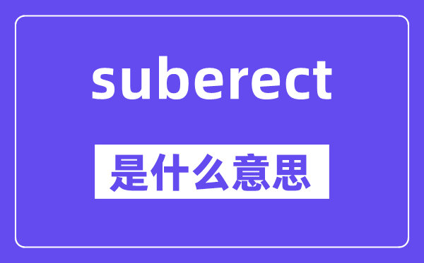 suberect是甚么意义,suberect怎样读,中文翻译是甚么