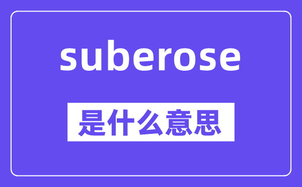 suberose是甚么意义,suberose怎样读,中文翻译是甚么