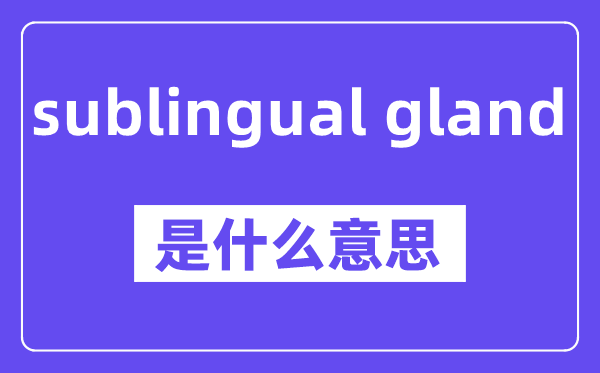sublingual gland是甚么意义,中文翻译是甚么