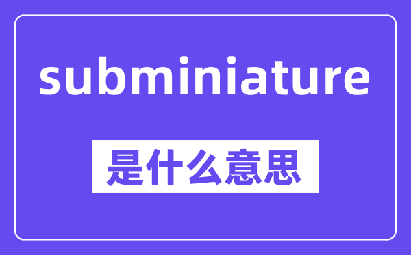 subminiature是甚么意义,中文翻译是甚么