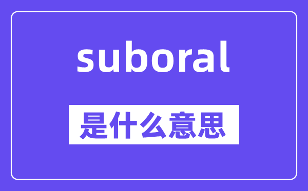 suboral是甚么意义,suboral怎样读,中文翻译是甚么