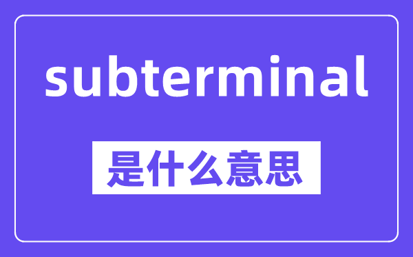subterminal是甚么意义,中文翻译是甚么