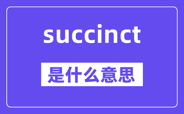 succinct是甚么意义,succinct怎样读,中文翻译是甚么