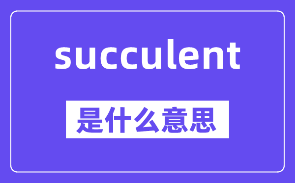 succulent是甚么意义,中文翻译是甚么