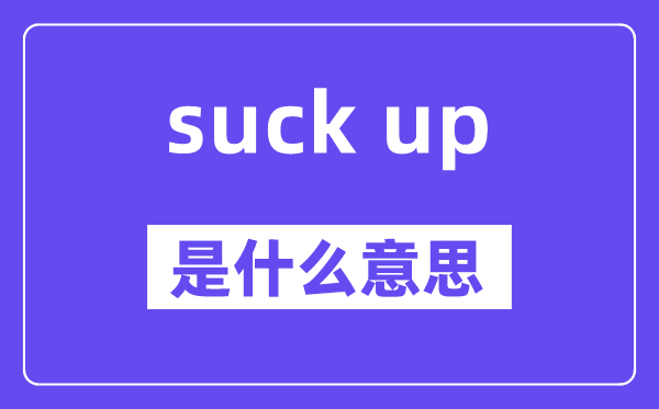 suck up是甚么意义,中文翻译是甚么