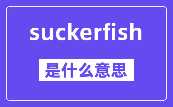 suckerfish是甚么意义,中文翻译是甚么