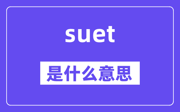 suet是甚么意义,suet怎样读,中文翻译是甚么