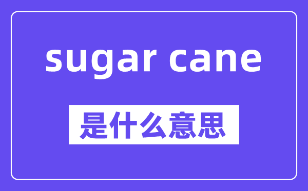 sugar cane是甚么意义,中文翻译是甚么
