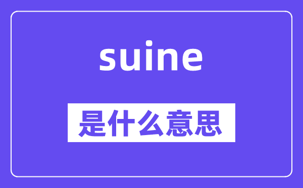 suine是甚么意义,suine怎样读,中文翻译是甚么