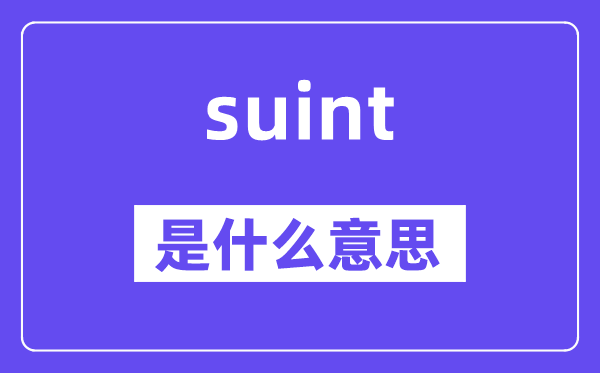 suint是甚么意义,suint怎样读,中文翻译是甚么