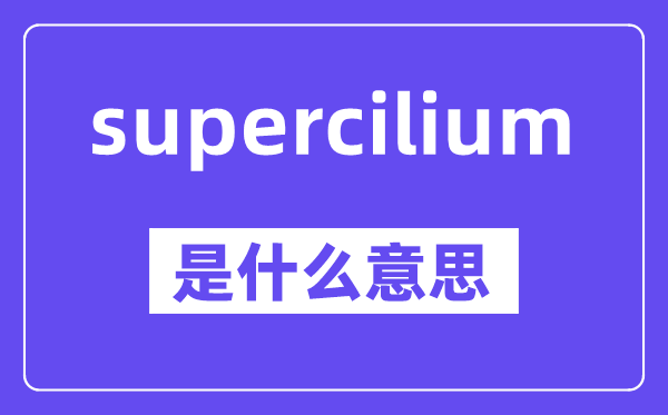 supercilium是甚么意义,中文翻译是甚么