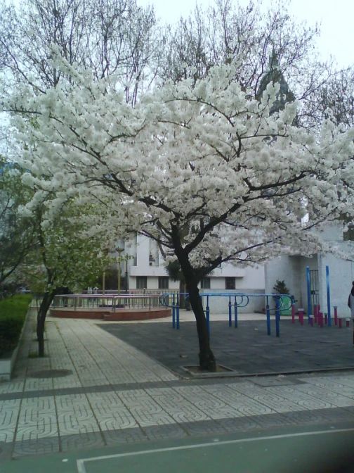 南京第九中学简介概略(建校汗青、地点、师资、校训、情况)