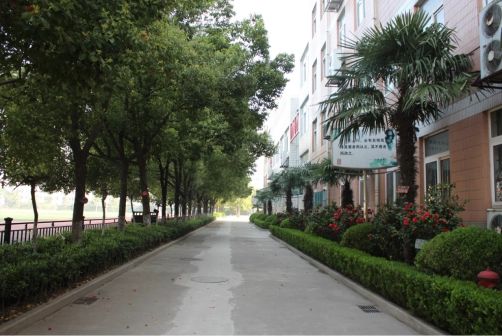 南京第二十九中学简介概略（建校汗青、地点、师资、校训、情况）