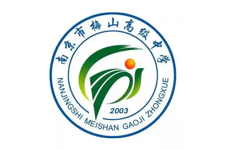 南京市梅山高等中学在南京的排名第几,南外属于甚么条理？