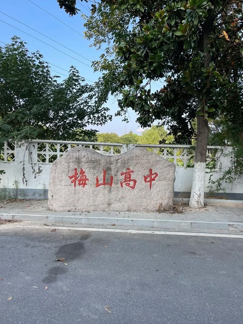 南京市梅山高等中学是公立仍是私立,是重点中学吗？