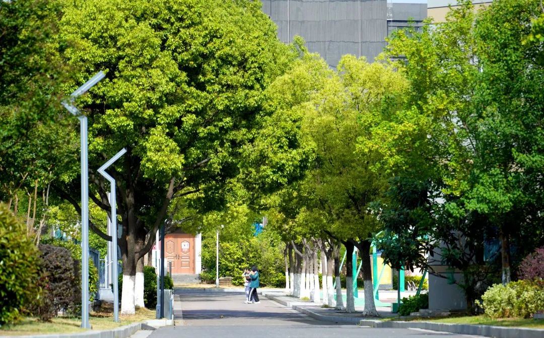 江苏省江浦高等中学简介概略(建校汗青、地点、师资、校训、情况)