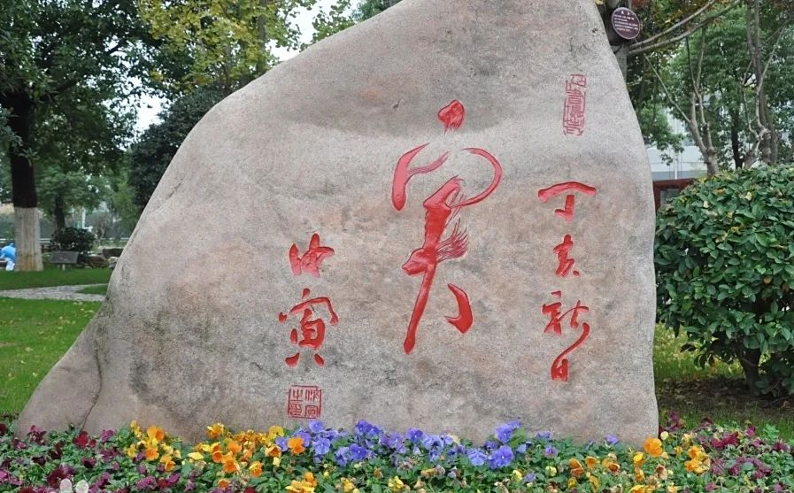 南京市临江高等中学在南京的排名第几,南外属于甚么条理?