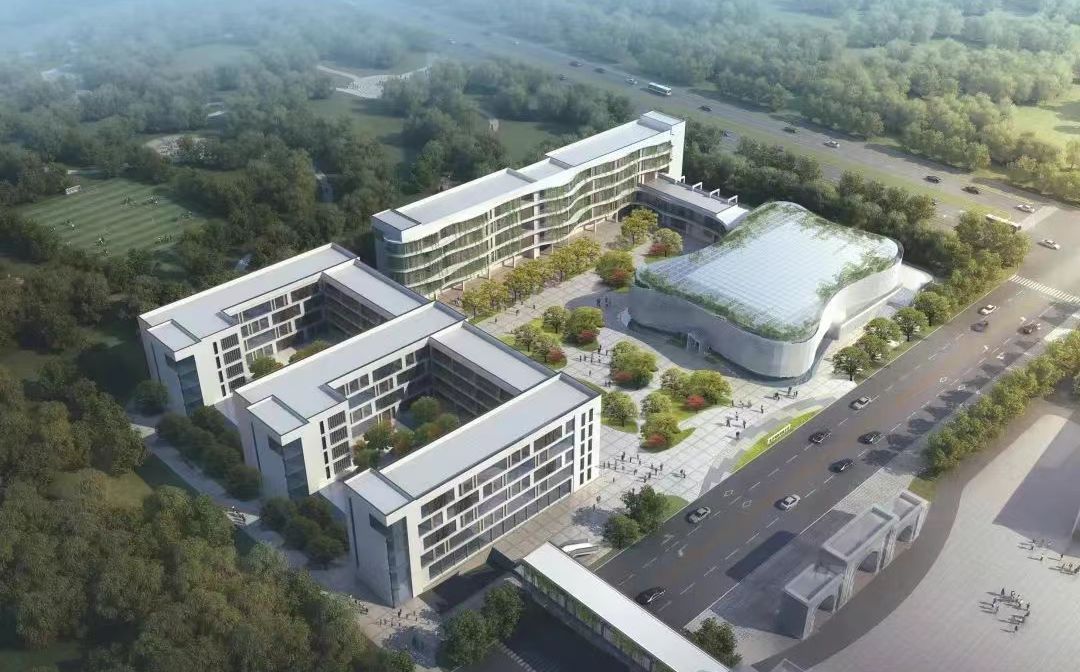 南京市高淳区湖滨高等中学在南京的排名第几,南外属于甚么条理？