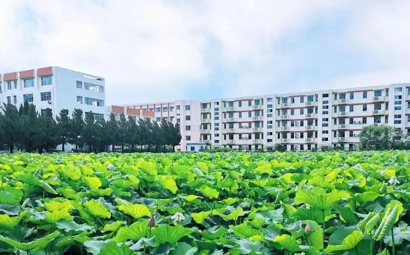 南京前景尝试中学在南京的排名第几,南外属于甚么条理？