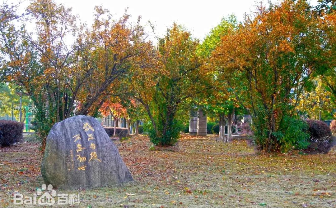 江苏省梁丰高等中黉舍区在哪_在哪一个区？