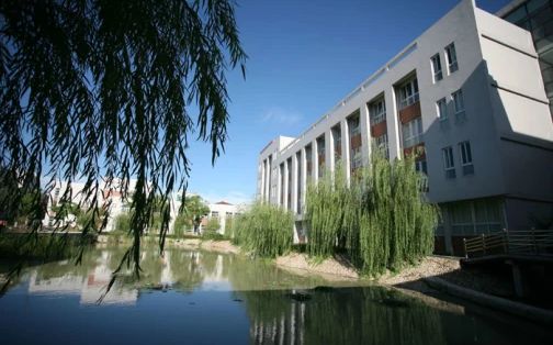 沙洲中学地点在那里_位于哪一个区？