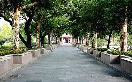 杭州高等中学在杭州的排名第几,属于甚么层次？