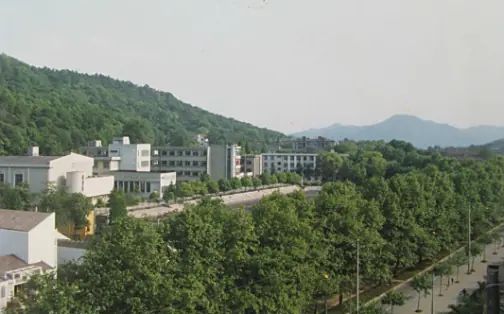 浙江大学从属中学有几个校区_别离在哪？