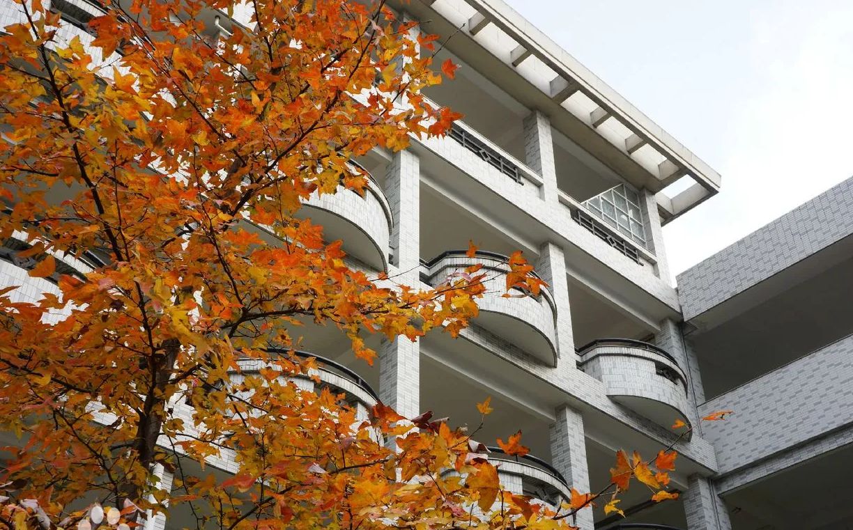 杭州市源清中学是公立仍是私立,是重点中学吗?