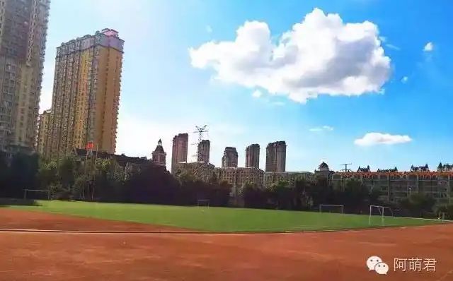 哈尔滨市田家炳高等尝试中黉舍区在哪_在甚么区？