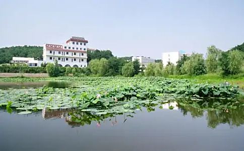 沈阳市第二十中学简介概略（建校汗青、地点、师资、校训、情况）