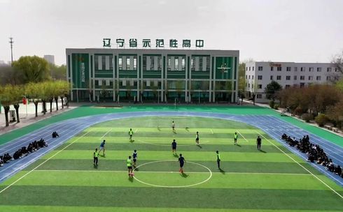 沈阳市志成中学在沈阳的排名第几,属于甚么层次？