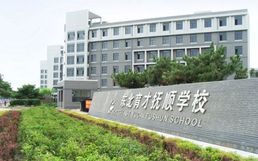 沈抚养才尝试黉舍简介概略(建校汗青、地点、师资、校训、情况)