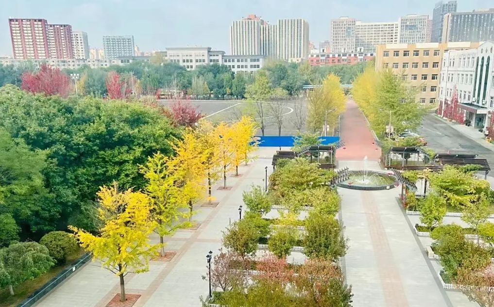 沈阳市第二十二中学是公立仍是私立,是重点中学吗？