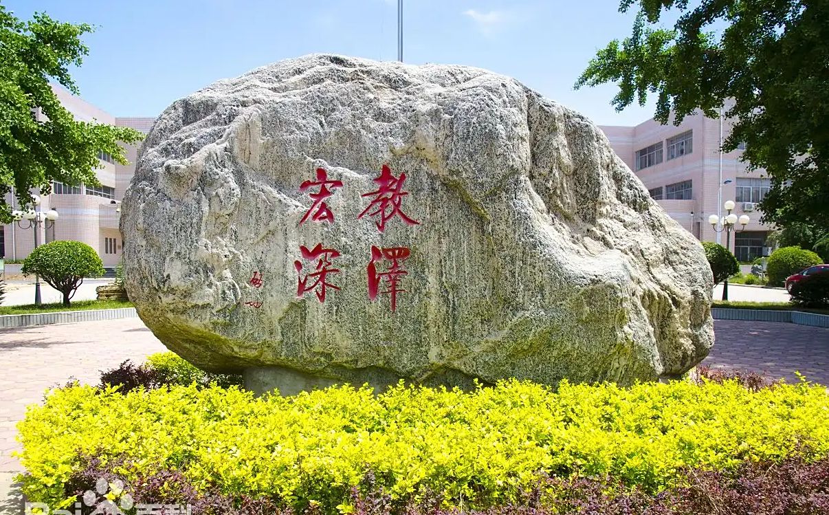 河北辛集合黉舍区在哪_在甚么区?