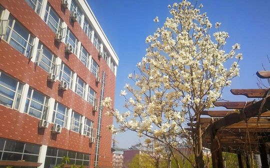 石家庄市鹿泉区第一中学在石家庄的排名第几,属于甚么层次?