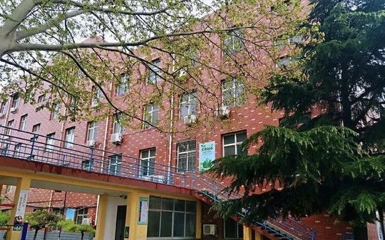 石家庄市第四十一中学在石家庄的排名第几,属于甚么层次？