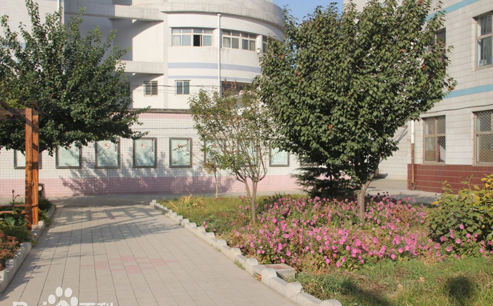 石家庄市藁城区第九中黉舍区在哪_在甚么区？