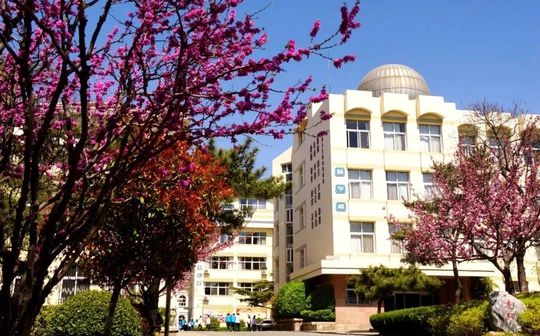 山东省青岛第十七中学简介概略(建校汗青、地点、师资、校训、情况)