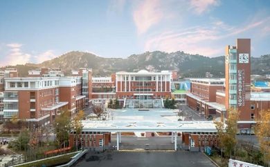 山东省青岛第十九中学是公立仍是私立,是重点中学吗？