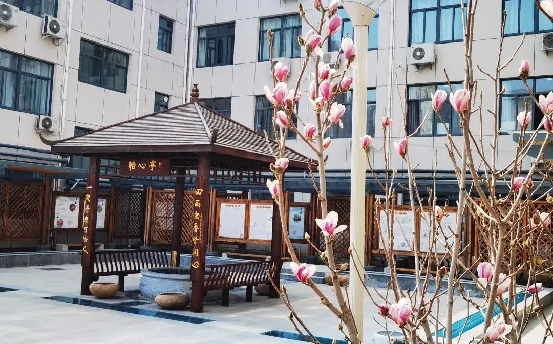 山东省济南第十一中学简介概略（建校汗青、地点、师资、校训、情况）