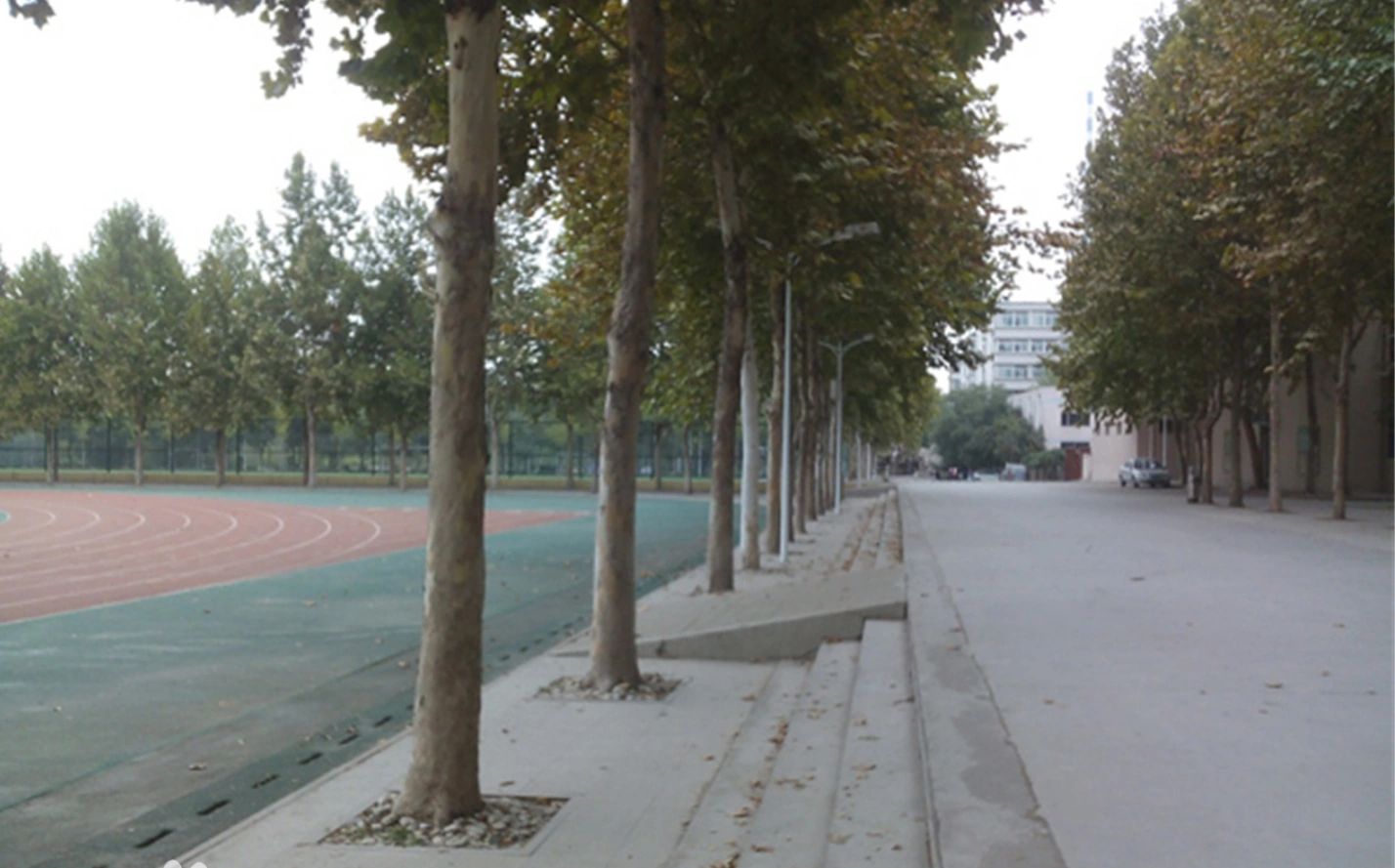 济南市历城第二中黉舍区在哪_在甚么区？
