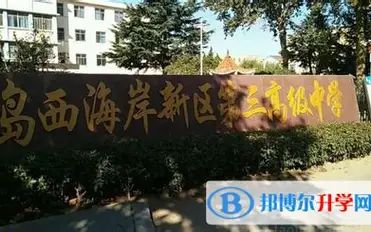 青岛西海岸新区第三高等中学是公立仍是私立,是重点中学吗?