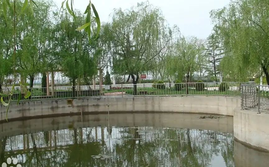 青岛市即墨区第四中学简介概略（建校汗青、地点、师资、校训、情况）