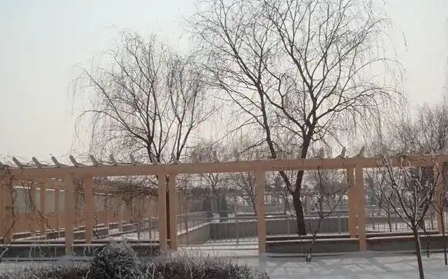 青岛市即墨区第四中黉舍区在哪_在甚么区?