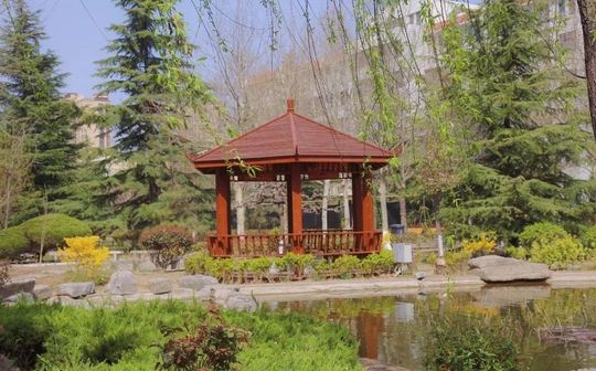 即墨区市北中黉舍区在哪_在甚么区?