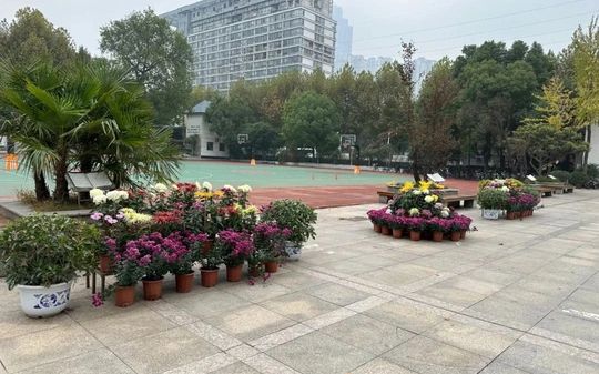优游市第二十六中学在优游的排名第几,属于甚么条理？